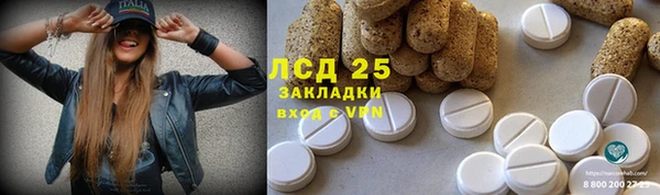 не бодяженный Инсар