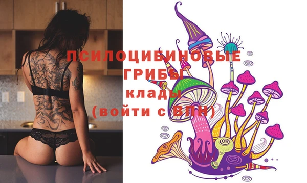 не бодяженный Инсар