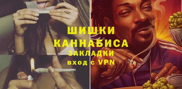 не бодяженный Инсар