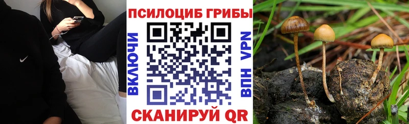 Псилоцибиновые грибы ЛСД  как найти закладки  Рязань 