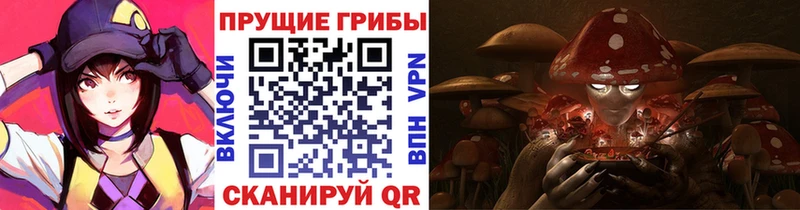Псилоцибиновые грибы мицелий Рязань
